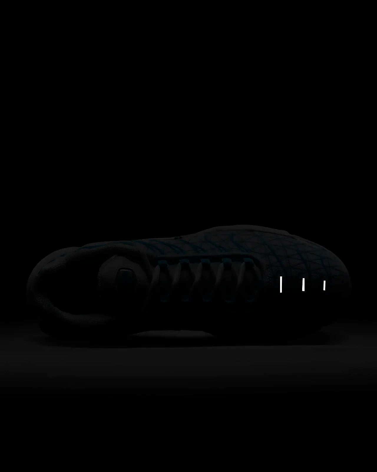 Nike TN Air Max Plus